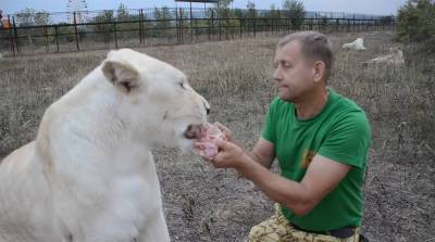 Олег Зубков - Мужчина уговаривал львицу поесть, целуя ее в нос - belta.by - Минск