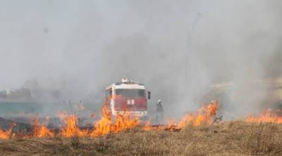 На Алтае за сутки случилось 116 пожаров