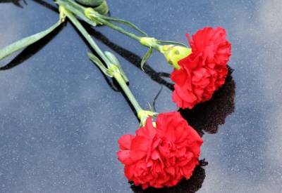 Голландец об отношении соотечественников к надгробиям советских солдат: «Под присмотром не только в День Победы»