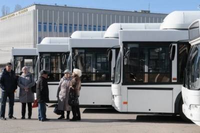 На Радоницу в Тамбове организуют дополнительные рейсы общественного транспорта