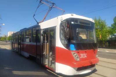 В Донецке дерево перекрыло путь трамваям