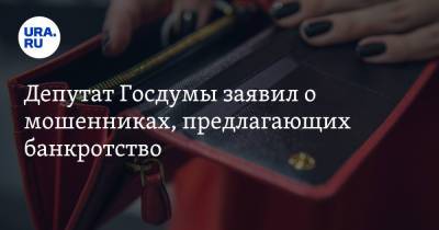 Депутат Госдумы заявил о мошенниках, предлагающих банкротство