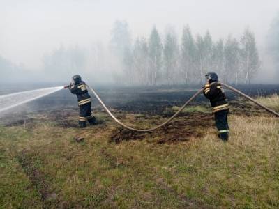 В МЧС рассказали о бушующем пожаре, который приблизился к деревне и поселку в Зауралье