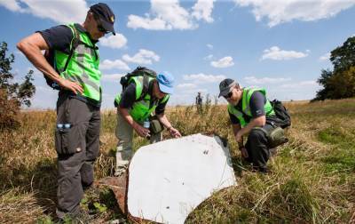 Нидерланды подают иск в ЕСПЧ против России за сбитый рейс MH17 над Донбассом