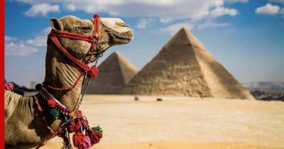 Сроки открытия Египта перенесли