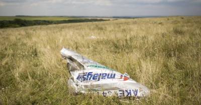 Дело MH17: Нидерланды подали иск в ЕСПЧ против России за сбитый боинг над Донбассом