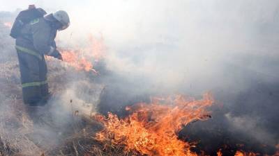 Крупный природный пожар тушат возле населенных пунктов под Курганом