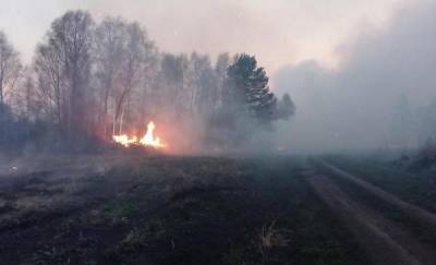 Ямальские спасатели помогут Тюменской области тушить лесные пожары