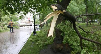 Сильный дождь и ветер создали проблемы на западе Грузии