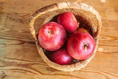 Что сделать, чтобы яблоки дольше хранились: советы дачникам