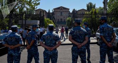 Мужчина пригнал осла к зданию парламента Армении, хотел "водить по городу" Пашиняна