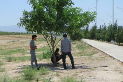 Засуха в Туркменистане может оказаться сильнее, чем в 2018 году