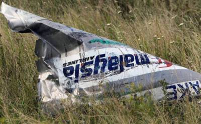 Нидерланды подали в ЕСПЧ иск против России из-за сбитого самолета MH17