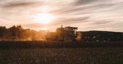 В Украине стали значительно чаще регистрировать агробизнес