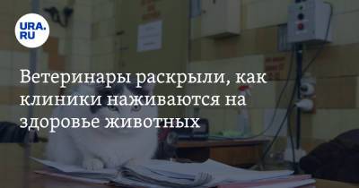Карен Даллакян - Ветеринары раскрыли, как клиники наживаются на здоровье животных - ura.news - Челябинск