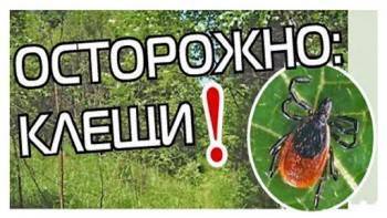 Более 160 детей в Вологодской области пострадали от укусов клещей