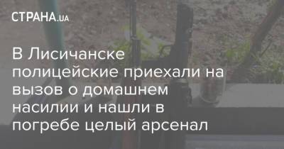 В Лисичанске полицейские приехали на вызов о домашнем насилии и нашли в погребе целый арсенал