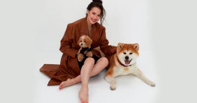 "Шик и шарм": Загитова покорила болельщиков фото со своими собаками