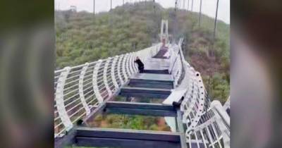 Цепляясь за жизнь: ураган разрушил стеклянный мост под ногами туриста