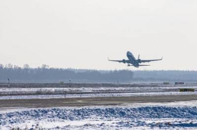 Стали известны детали скандального избиения украинки в самолете