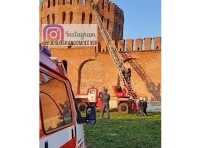 В Смоленске сотрудники МЧС спасли с Крепостной стены четверых молодых людей