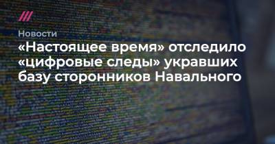 «Настоящее время» отследило «цифровые следы» укравших базу сторонников Навального