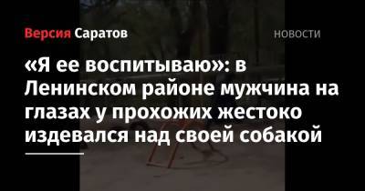 «Я ее воспитываю»: в Ленинском районе мужчина на глазах у прохожих жестоко издевался над своей собакой