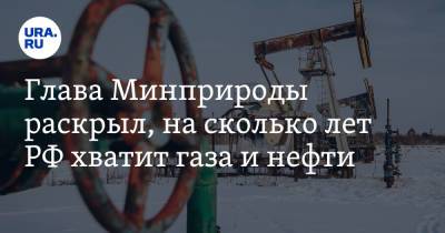 Глава Минприроды раскрыл, на сколько лет РФ хватит газа и нефти