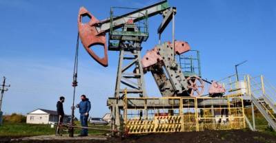 На сколько лет хватит российских запасов нефти и газа пояснили в Минприроды