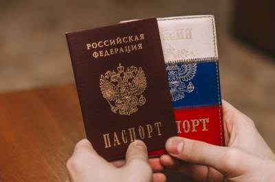 МВД призвало иностранцев выполнять девять требований ради российского паспорта