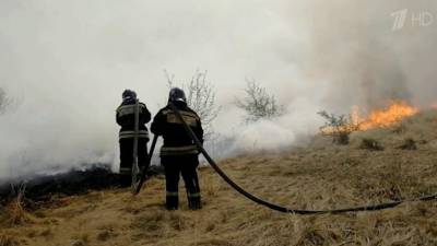 Режим ЧС введен в Тюменской области из-за природных пожаров