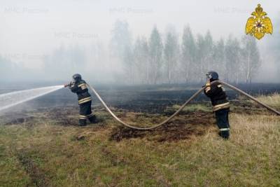 Пожарные смогли защитить населенные пункты Зауралья от крупного пожара