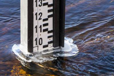 В Ярославской области остаются затопленными 284 дачных участка