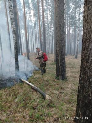 В лесничестве Катав-Ивановского района из-за туристов произошел большой пожар