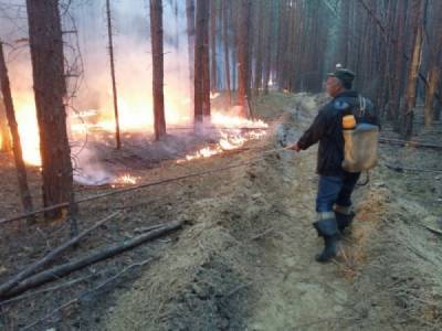 В Челябинской области в лесу рядом с нацпарком "Зигальга" произошел пожар из-за туристов
