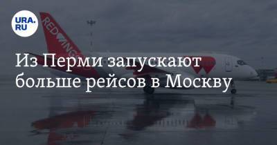 Из Перми запускают больше рейсов в Москву