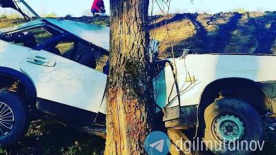 В Башкирии водитель без прав влетел в дерево: есть пострадавшие