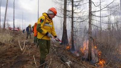 Тревожные сводки поступают из разных регионов России в связи с природными пожарами