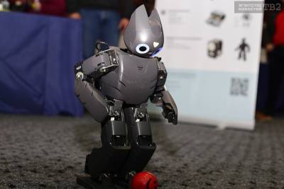 Этап международных соревнований по робототехнике пройдет в мае в Томске
