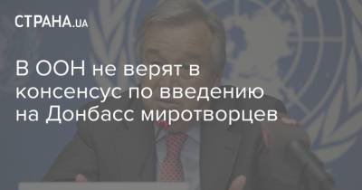 В ООН не верят в консенсус по введению на Донбасс миротворцев