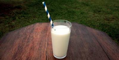 Диетолог Светлана Фус рассказала, что общего между коровьим и растительным молоком - ТЕЛЕГРАФ