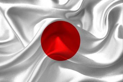 В Японии одобрен законопроект об общенациональном референдуме