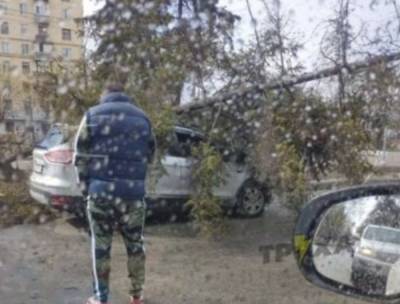 Стихия наделала беды в Харькове, кадры: пришлось вмешаться спасателям