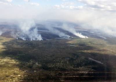 В Тюменской области лесной пожар подобрался к жилым домам