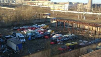 На юге города обнаружили заброшенную парковку с Lamborghini и Rolls-Royce - piter.tv - Санкт-Петербург