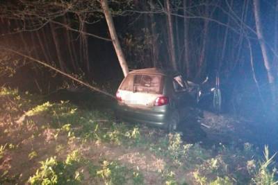 В Тверской области машина врезалась в дерево: один человек погиб и двое пострадали
