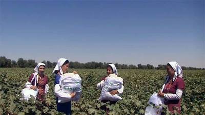 В Лебапском велаяте появились женские бригады, которые недорого выполняют сельхозработы