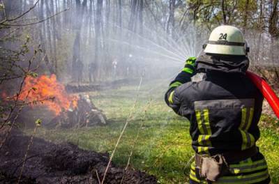 Стало известно о количестве погибших украинцев при пожарах за неделю