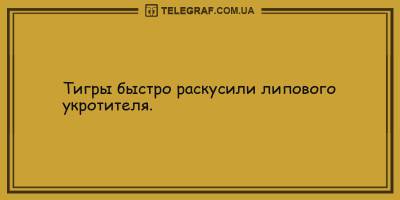 Анекдоты на 11 мая, которые подарят вам хорошее настроение на целый день - ТЕЛЕГРАФ - telegraf.com.ua