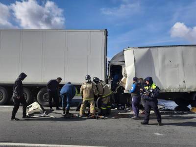 Один человек погиб в результате столкновения двух грузовиков в Михайловском районе
